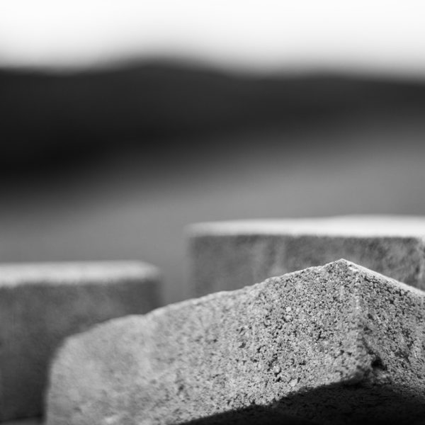 Link Building Services